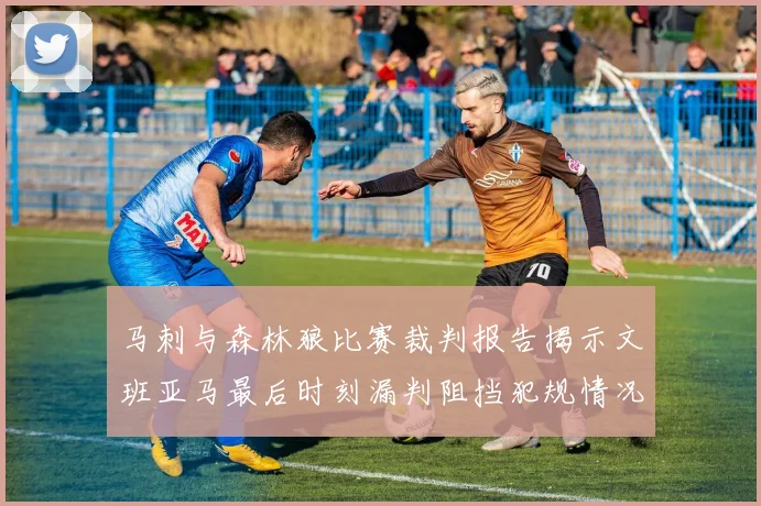 马刺与森林狼比赛裁判报告揭示文班亚马最后时刻漏判阻挡犯规情况