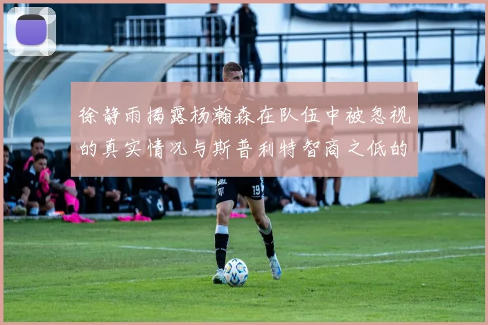 徐静雨揭露杨瀚森在队伍中被忽视的真实情况与斯普利特智商之低的尴尬真相